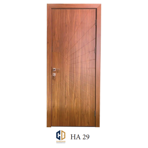 HA29